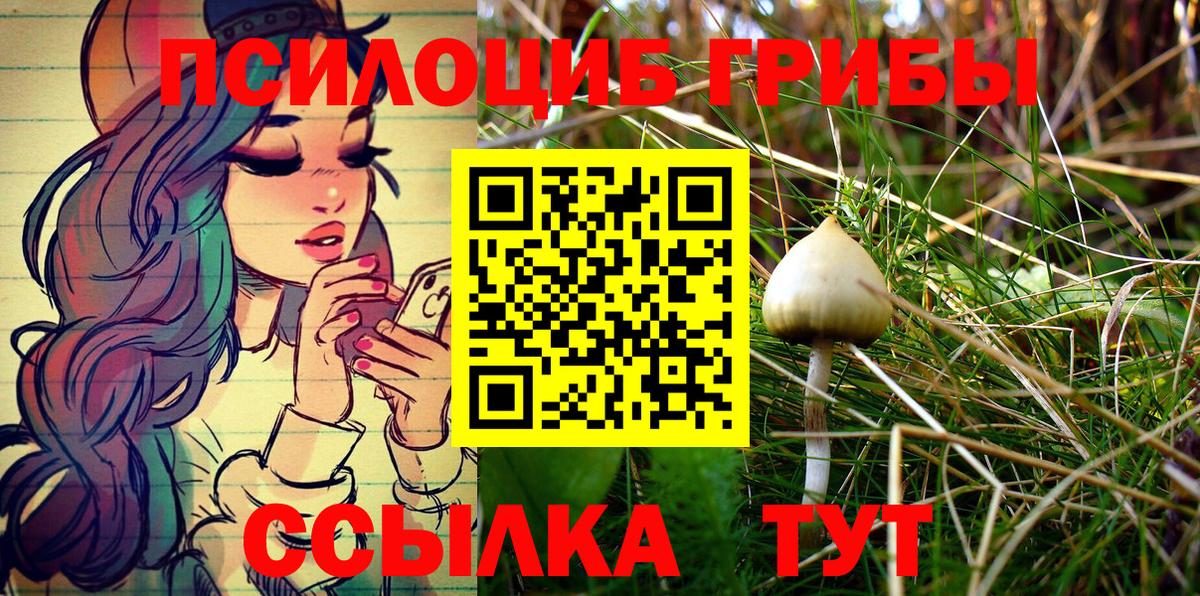 Жуковский  Галлюциногенные грибы ЛСД  Вход с VPN 